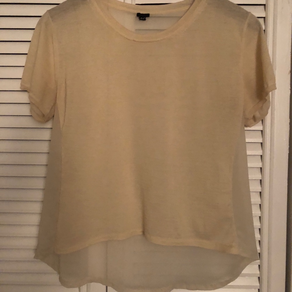 PL Sheer Beige Blouse
